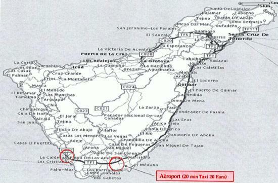 Las Terassas- Playa De Las Americas - Tenerife- Espagne Екстериор снимка